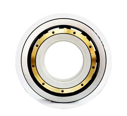 Insulated Bearings