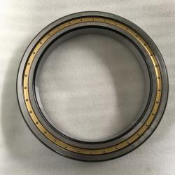 Cylindrical Roller Bearing XLRI-10-J 