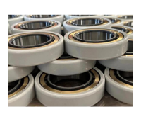 Electric Insulating Cylindrical Roller Bearings